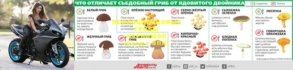 apvp Арсеньев