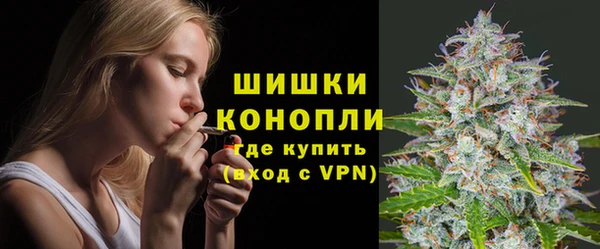 apvp Арсеньев
